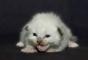 /album/photogallery/a002688005-thumb-1-jpg/